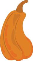 Illustration of a Pumpkin vector