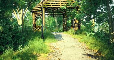 Pathway through a rustic wooden arch in a lush green forest setting video