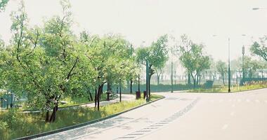 Lush green trees line the winding path in a serene urban park setting video