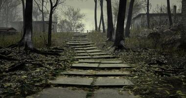 Path leading through a quiet, overgrown forest area on a cloudy day video
