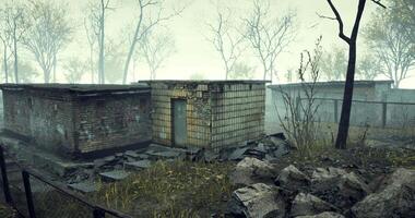 Abandoned structures in a misty landscape with overgrown vegetation video