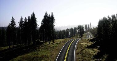 Scenic winding road through lush green forest in daylight with clear sky video