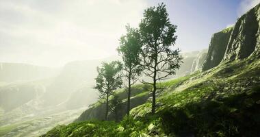Majestic landscape with trees and misty mountains under bright sunlight video