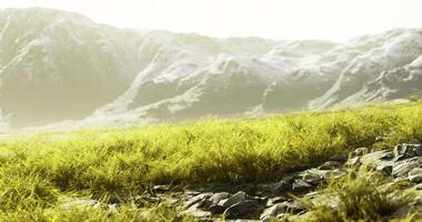 Vast green grassland with rocky terrain and distant mountainous backdrop video