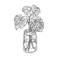 a drawing of a monstera in a jar vector