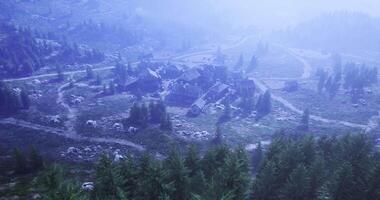 Serene mountain village surrounded by misty trees at dawn in the wilderness video