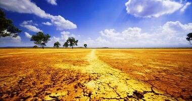 Vast arid landscape with cracked earth and scattered trees under blue sky video
