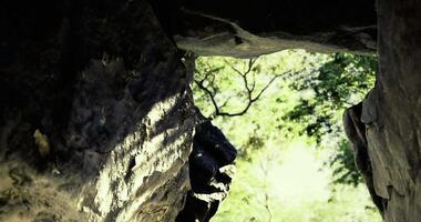 Sunlight filtering through rocky formations in a beautiful natural landscape video
