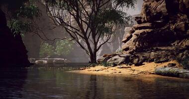 Serene riverside landscape with rocky cliffs and lush vegetation in daylight video