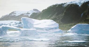 Majestic icebergs floating in a serene Arctic landscape during daylight video