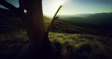 Serene sunset casting warm light over a tranquil landscape with tree silhouette video