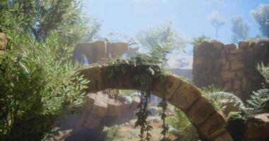 Beautiful stone bridge covered in plants within ancient ruins during daylight video