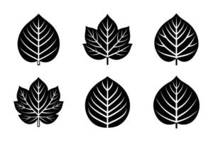 Simple leaf silhouette icon set design vector