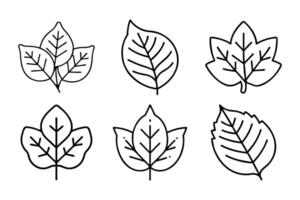 Modern leaf silhouette icon set design vector