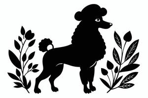 Poodle with a beret vector