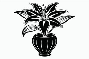 Lily vase black color line vector