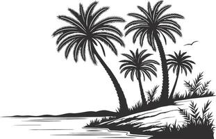 A Silhouetted palm trees with water white background vector
