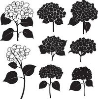 A collection of black and white of flowers and leaves. vector