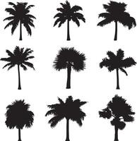 A collection of palm tree silhouettes in format. vector