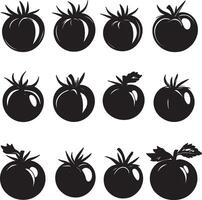 A collection of black tomato silhouettes in format. vector