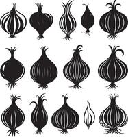 An assortment of different onion varieties. vector
