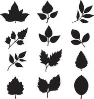 Black leaf shapes against a bright background. vector