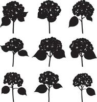 A collection of black silhouettes featuring various flowers and leaves. vector
