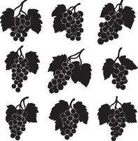 black grapes on a white background vector