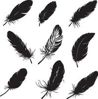 Various feather outlines displayed on a white surface. vector