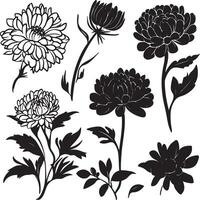 black and white flowers set vector