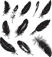 feathers set of silhouettes illustration vector