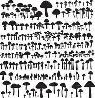 a collection of black and white mushrooms vector
