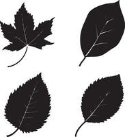 four different leaves in black and white on a white background vector