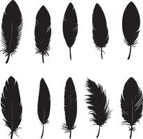 A set of isolated feather shapes against a white background. vector