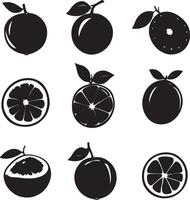 black and white fruit icons set, including oranges, grapefruit, grapefruit, grapefruit, vector
