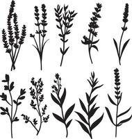 A collection of black and white silhouettes of various herbs. vector