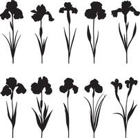 A compilation of dark and light shapes representing irises. vector