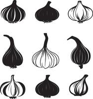 A collection of different types of garlic set against a white background. vector