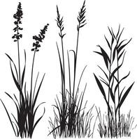 three different types of grasses and flowers vector