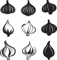 various types of garlic on a white background vector