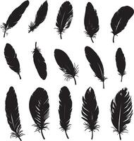Silhouetted feathers represented in design. vector