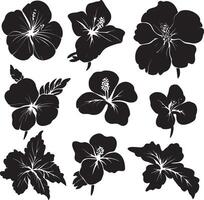 set of hibiscus flowers silhouette silhouette set vector