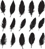 A compilation of feather shapes represented in format. vector