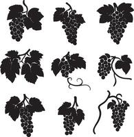 black grapes on a branch set of silhouettes vector