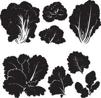 black and white silhouettes of various types of cabbage vector