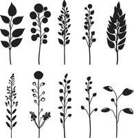 A collection of black and white outlines of plants and blossoms. vector