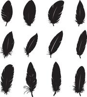 A collection of feather silhouettes isolated on a white backdrop. vector