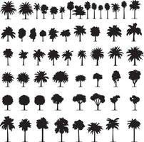 a collection of palm trees and trees vector