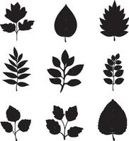 A collection of leaf silhouettes on a white surface. vector