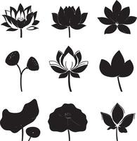 black and white lotus flowers set vector
